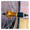 Roue Arrière Custom SeBike 29 Pouces 10v - Wheeling Bike -Pieces Cycliste Magasin roue arriere custom sebike 29 pouces 10v wheeling bike