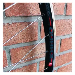 Roue Arrière Custom SeBike 29 Pouces 10v - Wheeling Bike -Pieces Cycliste Magasin roue arriere custom sebike 29 pouces 10v wheeling bike 4